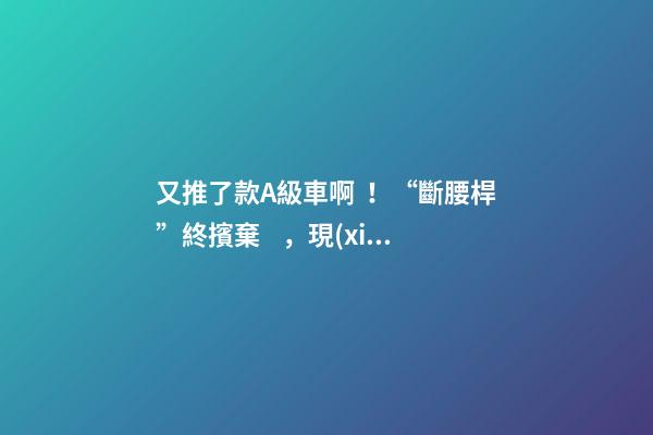 又推了款A級車?。　皵嘌鼦U”終擯棄，現(xiàn)代這款很帥的三廂或8萬起？